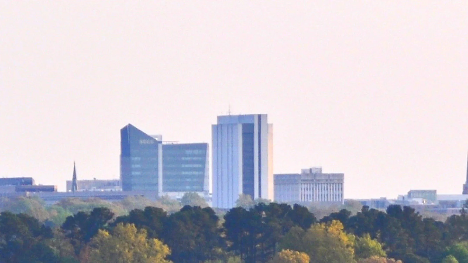 Raleigh, NC skyline background